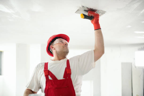 Professional Mold Removal in Gamerco, NM