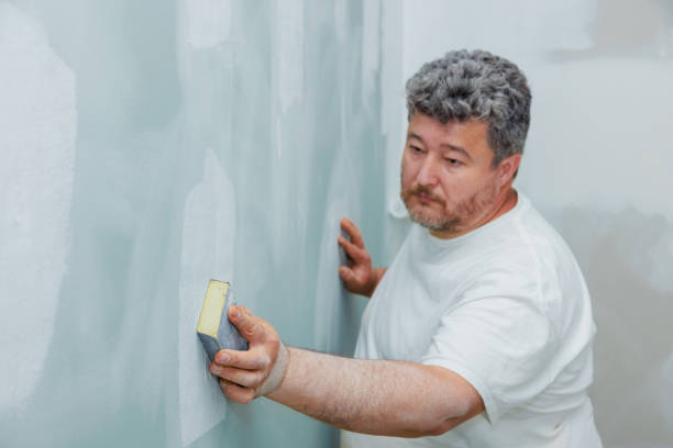 Best Dehumidification Services  in Gamerco, NM