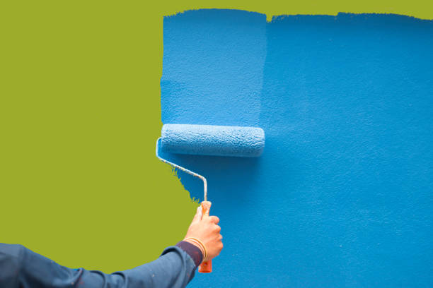 Best Water Damage & Mold Remediation  in Gamerco, NM